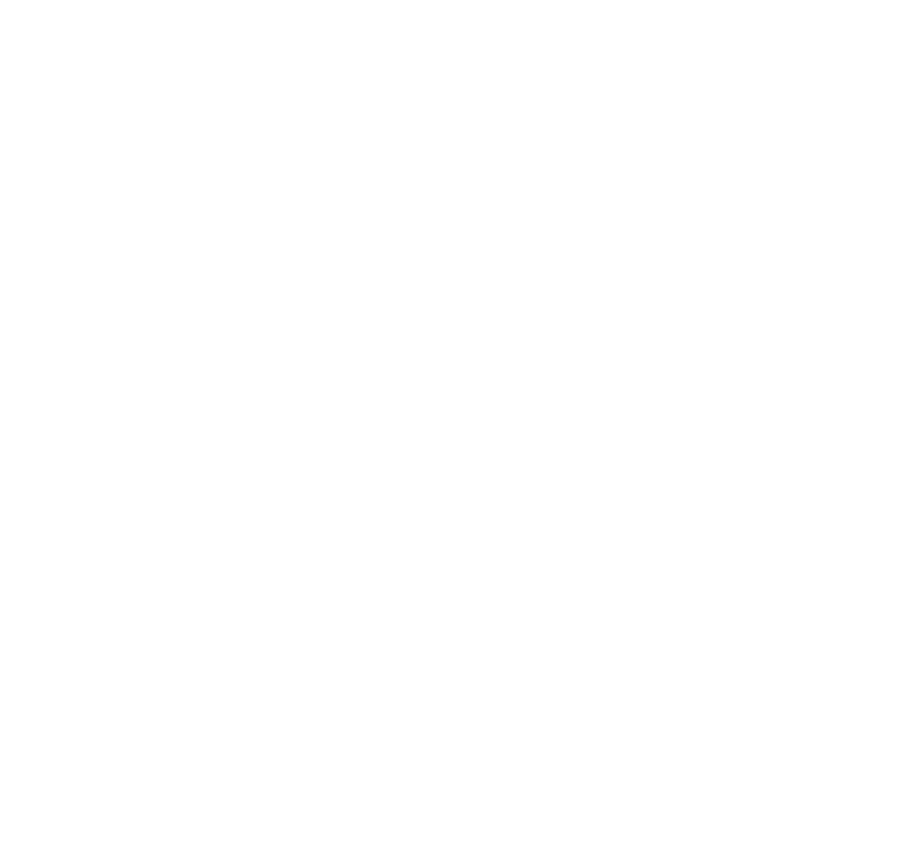 Palm Berries